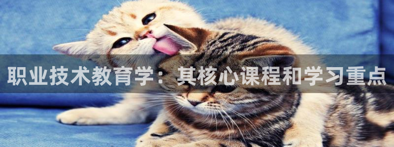 j9国际站官网首页直达|职业技术教育学：其核心课程和学习重点